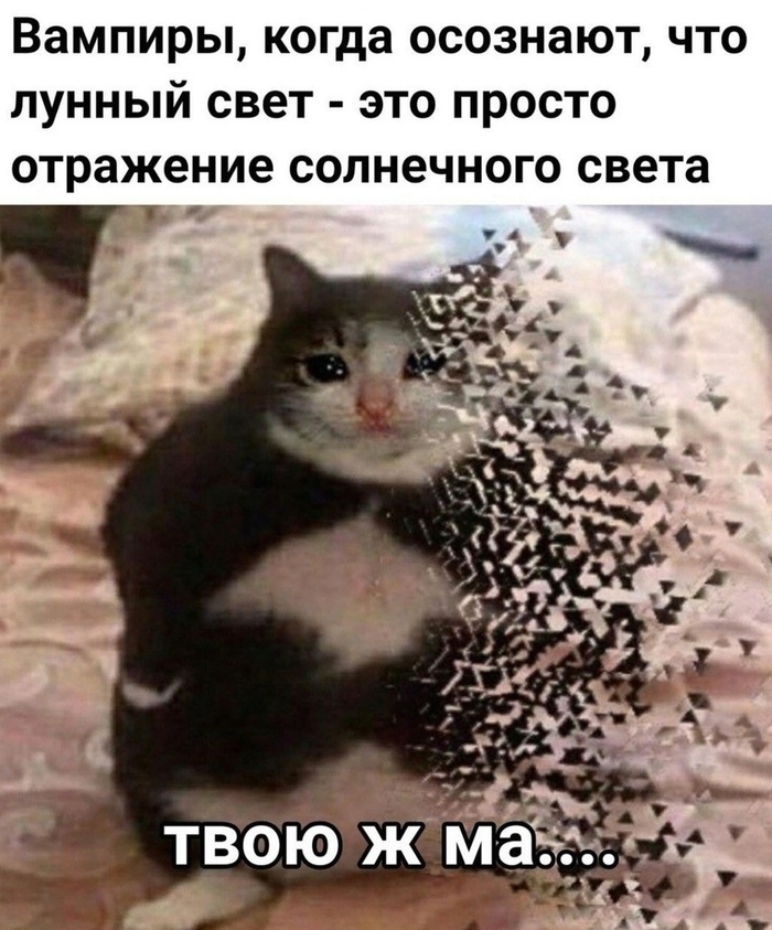 _____________________________________________________________________________________