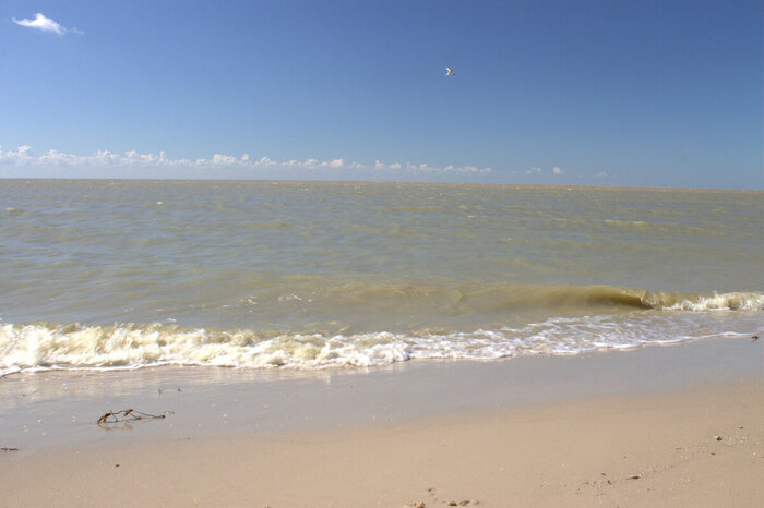 ����� "������� ���"