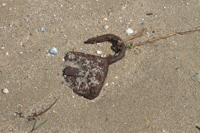 �������� �����