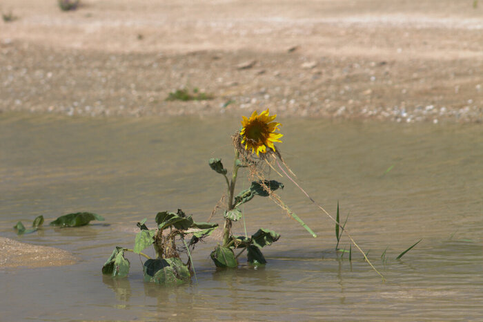 ��������� � ���� ������