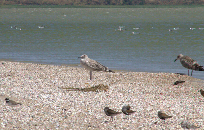 ����� � �����������