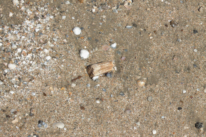 � ������ ������������� ������ � �������� �����. ��� ������ ��� � ���������������.