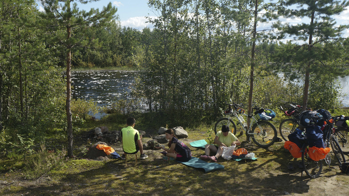 ���� �� ������ ����