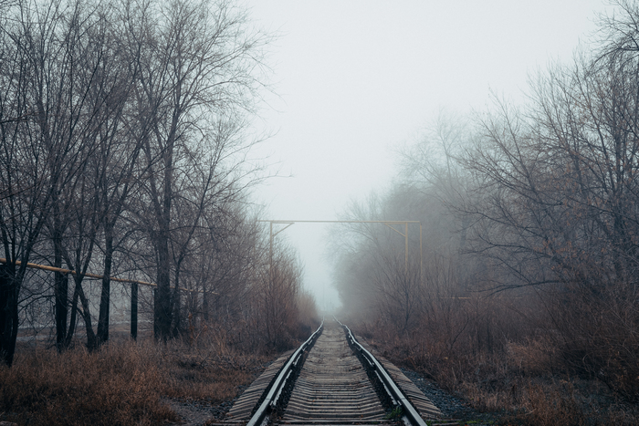   , Nikon, , , , , 