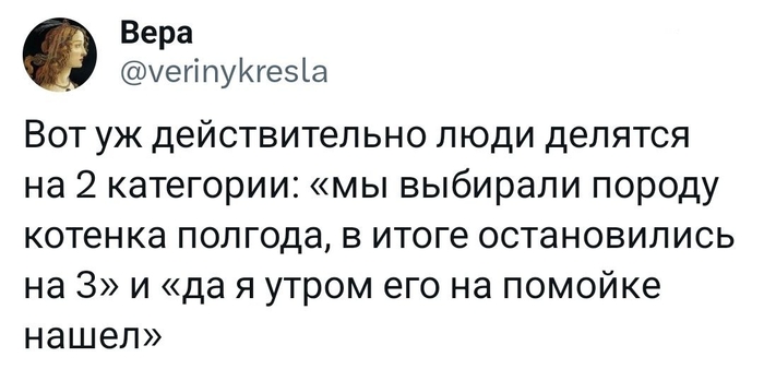   , , X (Twitter), , Telegram ()