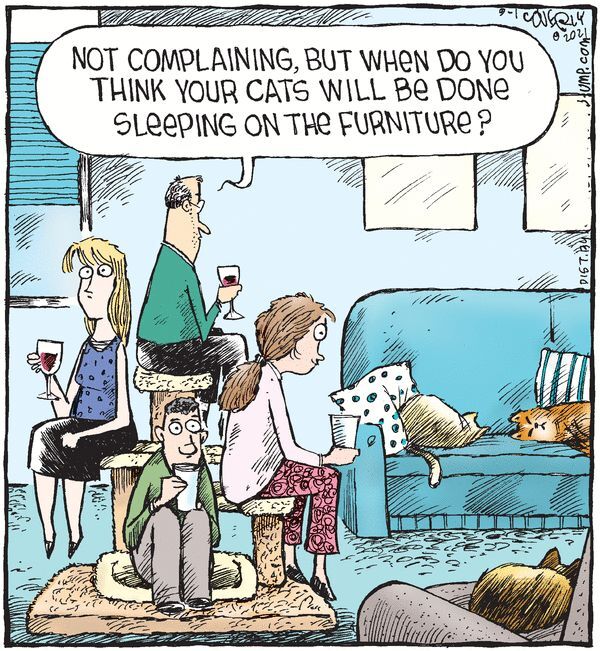 Приоритеты