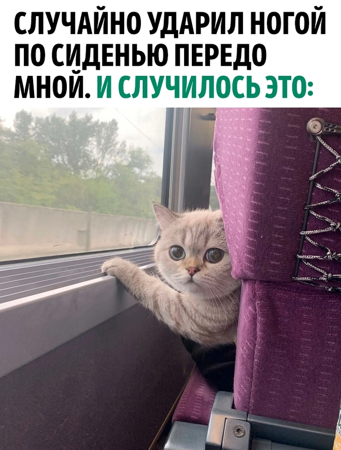 Разбудил, тогда рыбов показывай