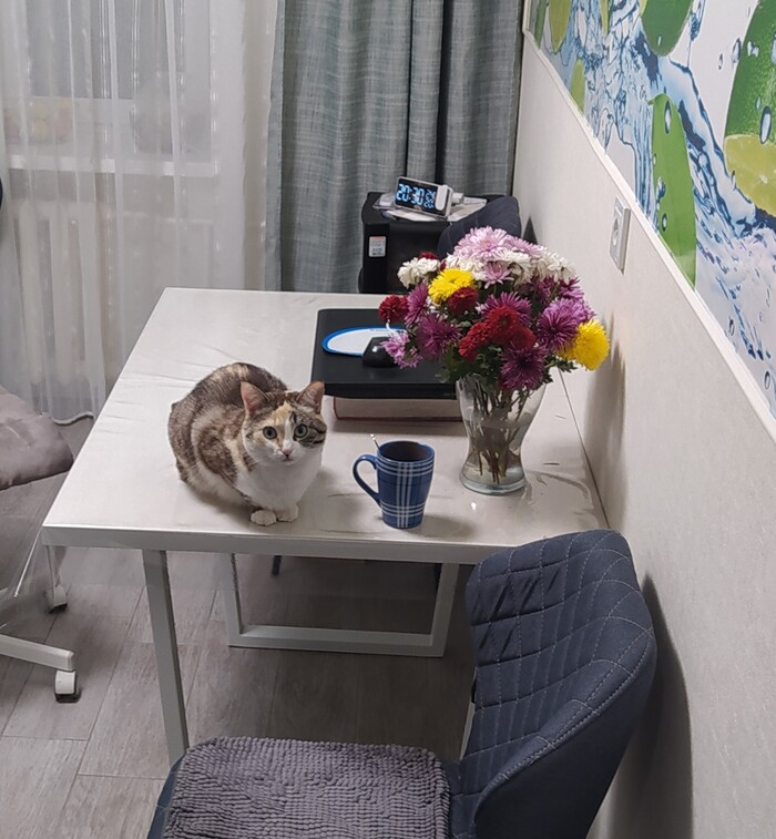 ���������