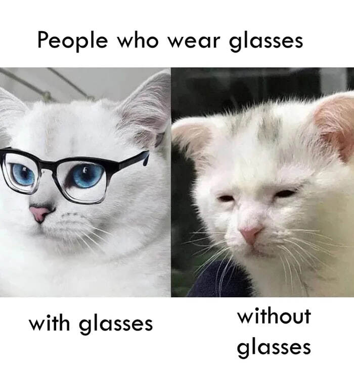 �������� � ����� / ��� �����