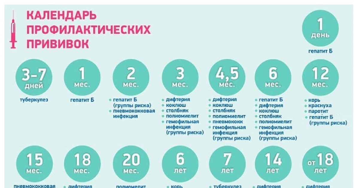 Какие прививки нужно делать до года. Прививки детям до года график. График вакцинации детей до 1 года.