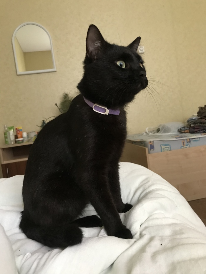 Младший (новенький)