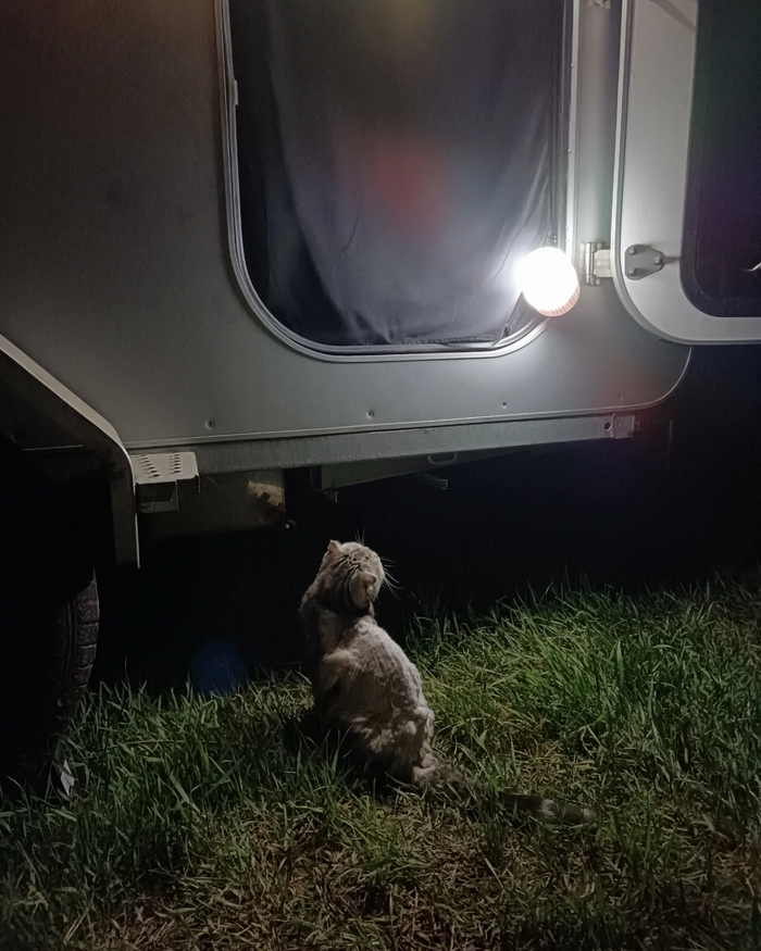 ������ ������� ����������� ���� �� �������)