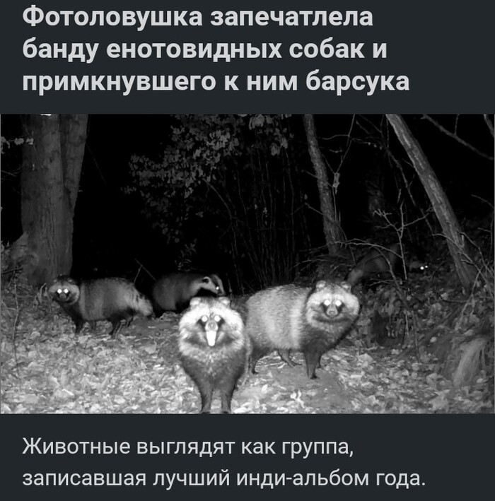 ������ ��� ������ ��� ����������...