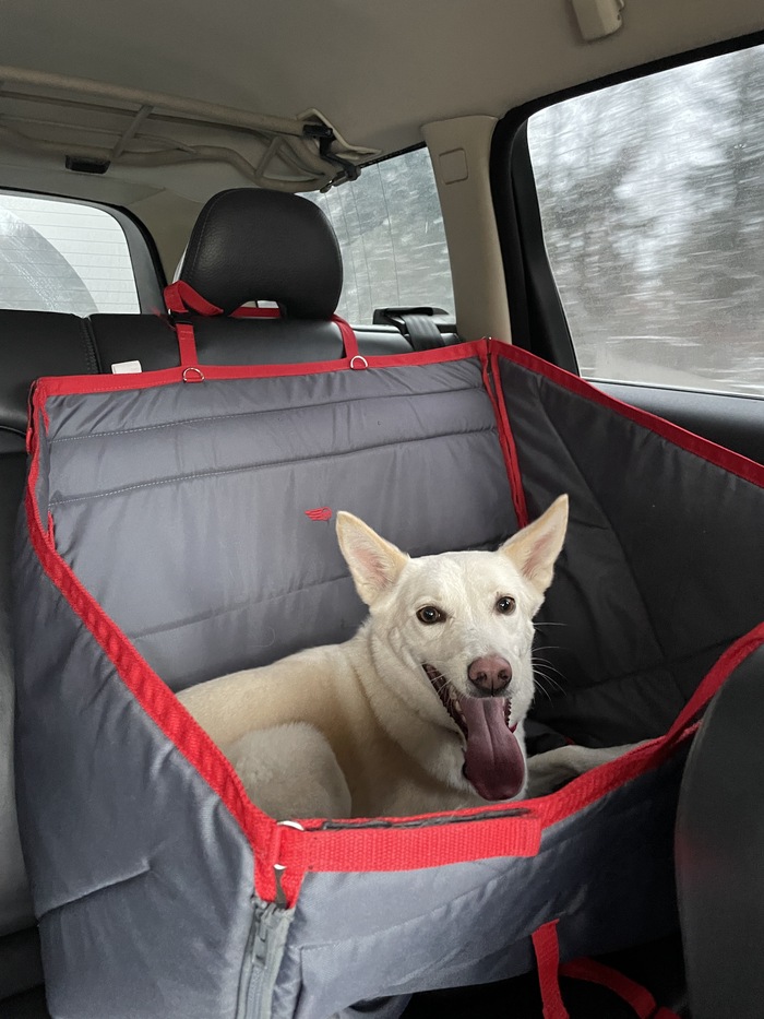 ����� ������� ����� � ������ ��� ������