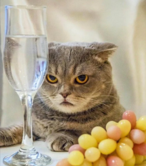 Случай в кафе_