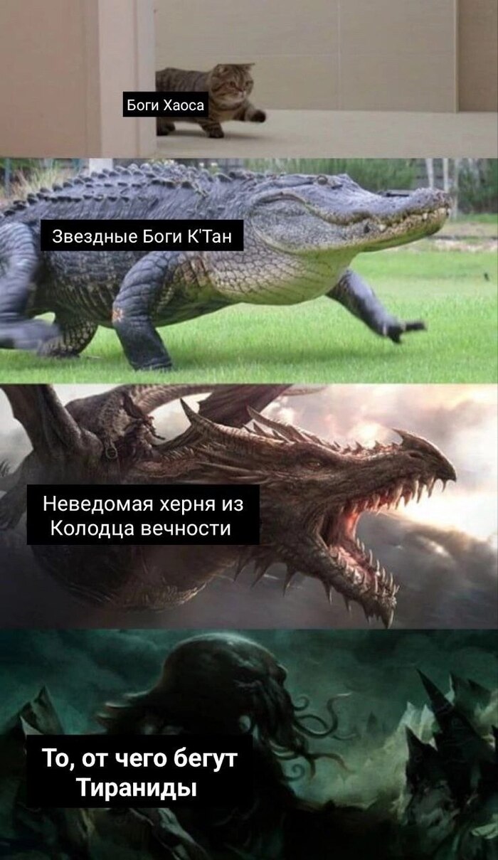 Угроза | Пикабу