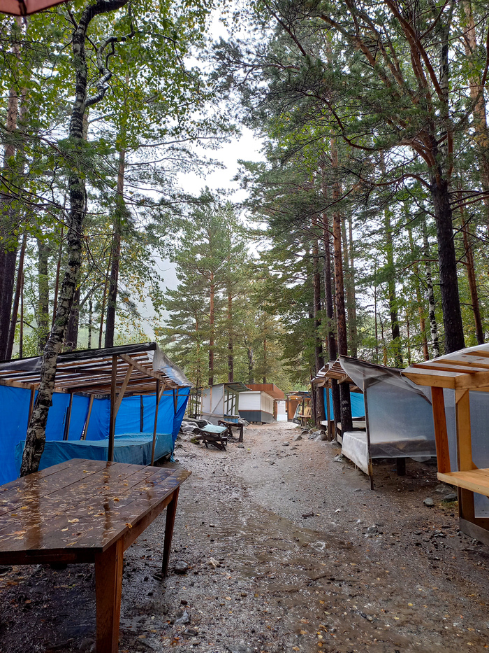 Монгольский рынок