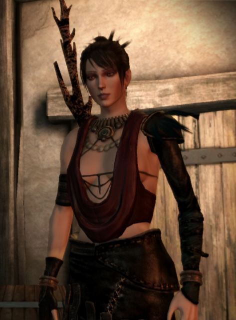 Dragon Age: Origins