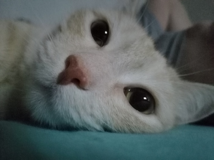    ,  ,  , , , , 