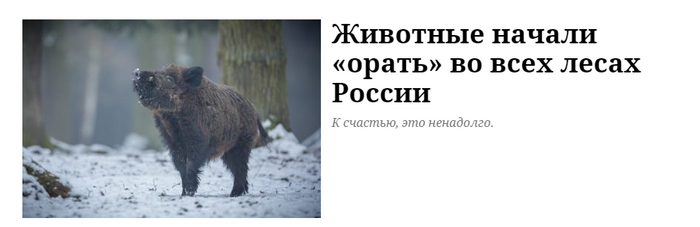 Ха! Я с 2019 года не прекращал, а они только начали