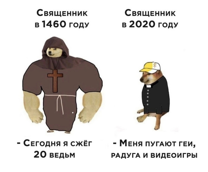  , ,  (),   , Doge, , -
