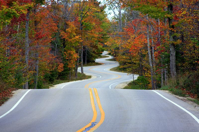 ,  ,  ,    -  Adam Romanowicz