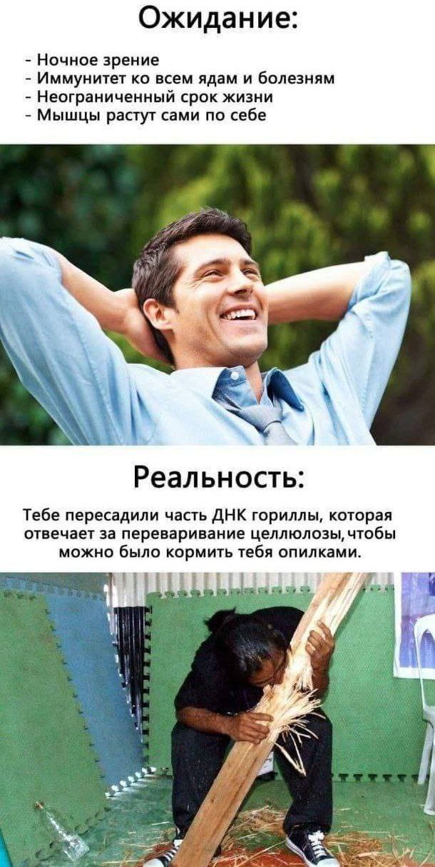 ������������ ����������� ��������