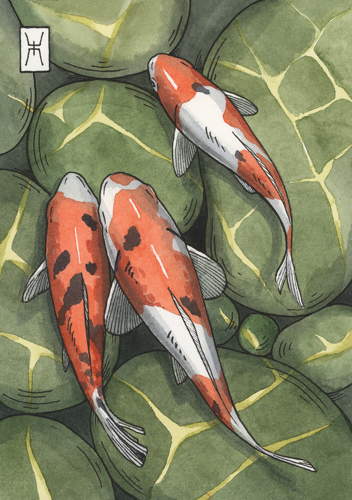 ��������� ������ �5, ��������, ������. � ������ �������� �� ����������������, ������������� ����� ������.