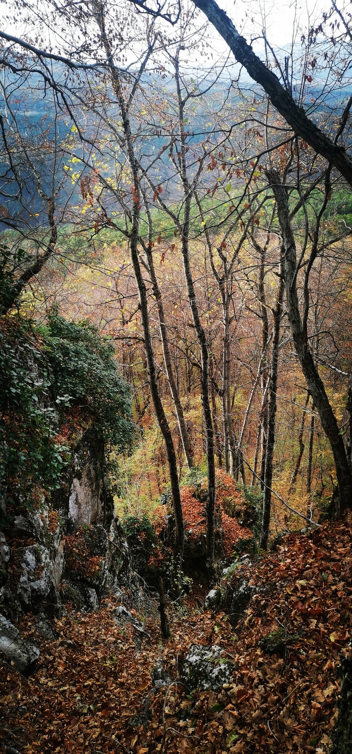 От поселка идёт Екатерининская дорога на Ялту, ныне не активная