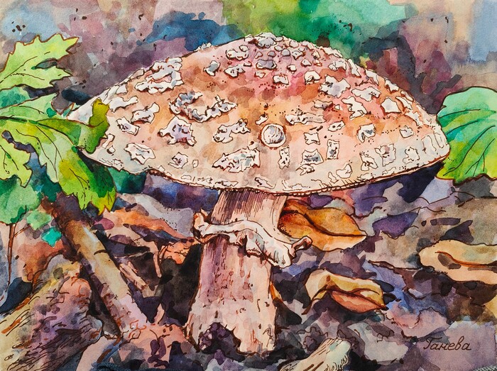 Бумага, акварель, капиллярные ручки, 18х24 см