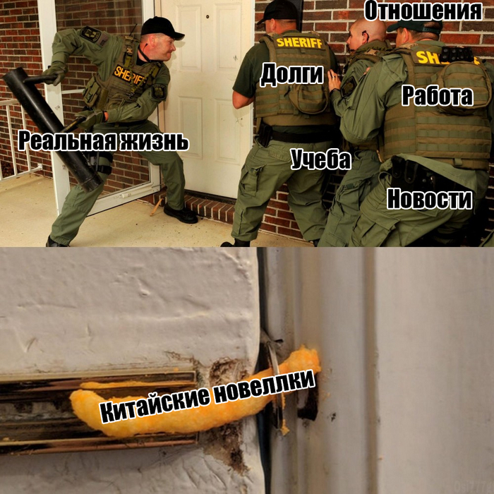  -    ,   ,  , 