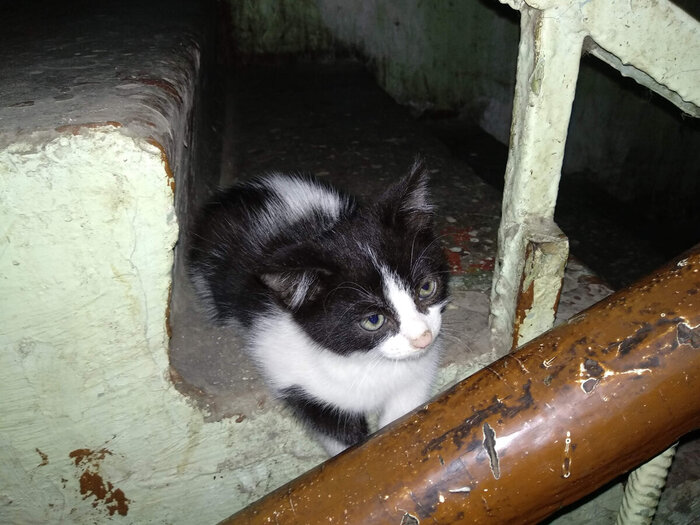 Ему было уже всё равно.