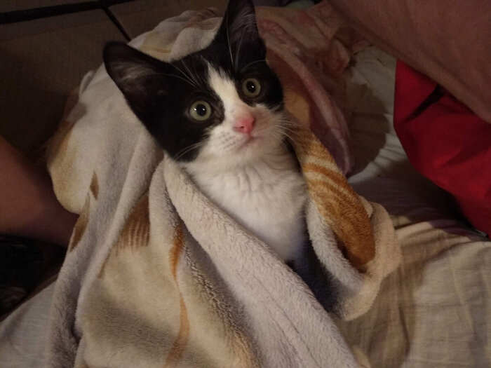 А здесь мы покушали, сходили в туалет и искупанные в пледе сохнем