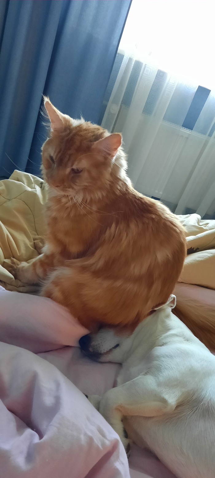    ?))) , , , ,   , 