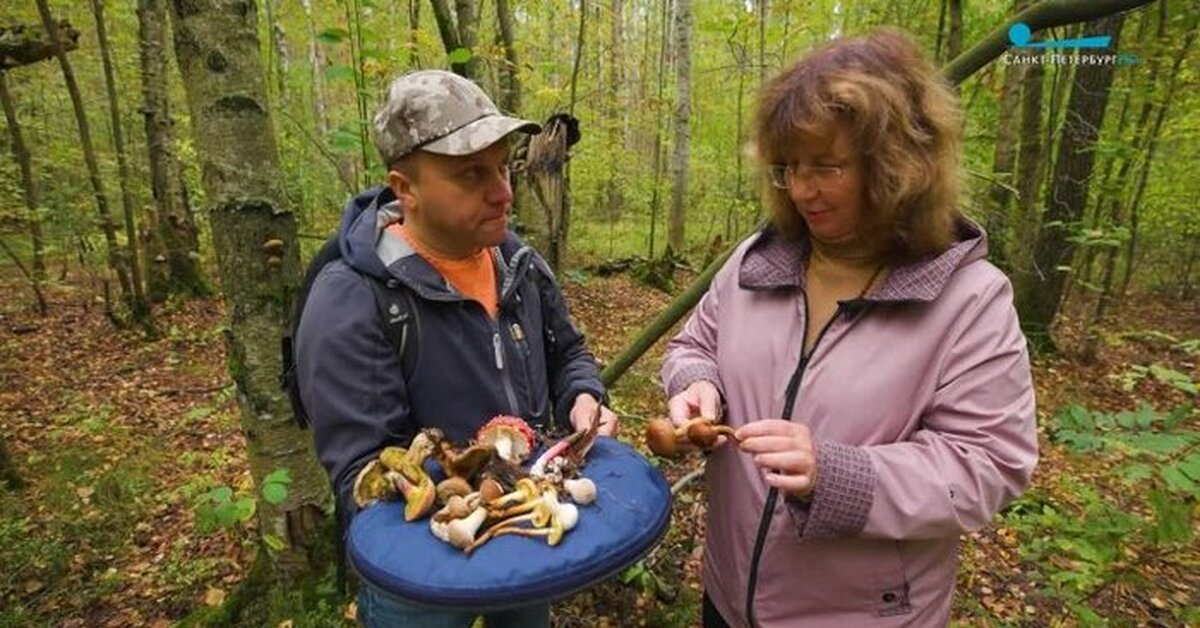 Природный заказник «Новоорловский» | Пикабу