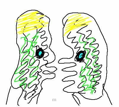 ���������� ��������