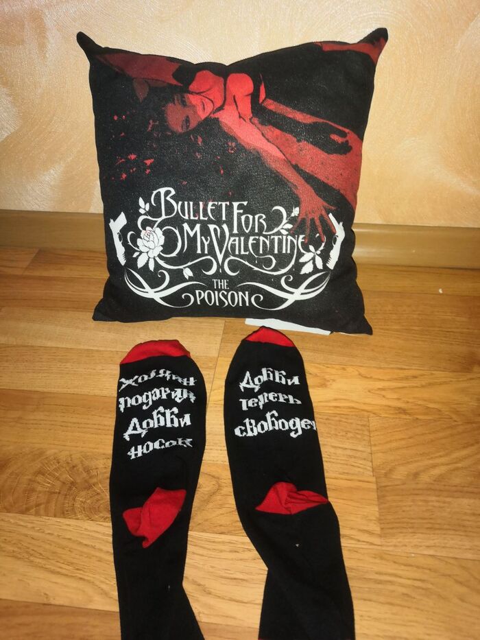 Подушка! С любимой группой! Буду прикладываться ухом и слушать =)
Носки очень классные, вдоволь повеселился, когда прочитал!