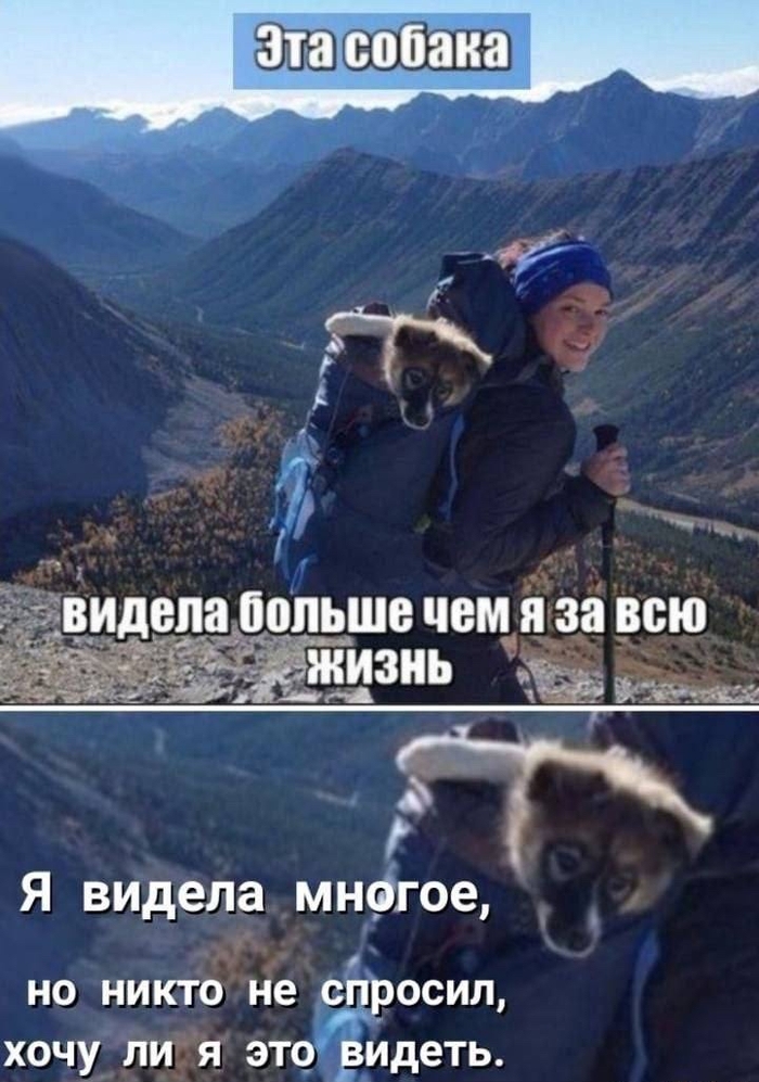1700507235115560864.jpg