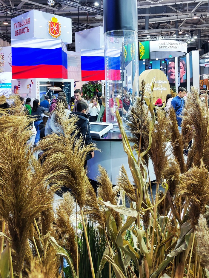 Россия на ВДНХ: путешествие по стране Путешествие по России, ВДНХ, Длиннопост, Фотография