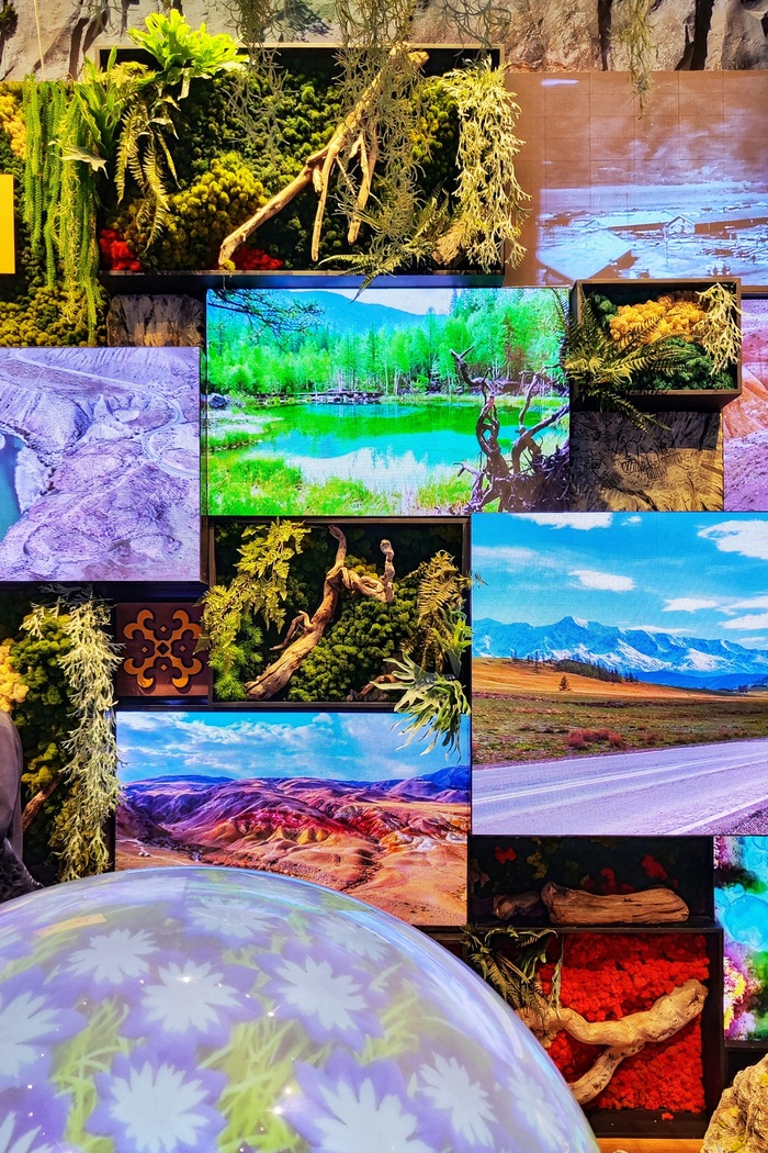 Россия на ВДНХ: путешествие по стране Путешествие по России, ВДНХ, Длиннопост, Фотография