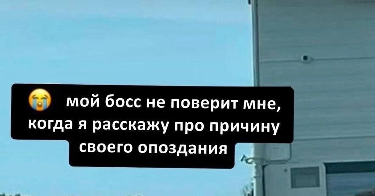 Причина опоздания | Пикабу
