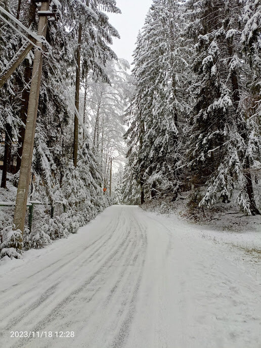 выезд с станции по ул.Лесгафта (южная)