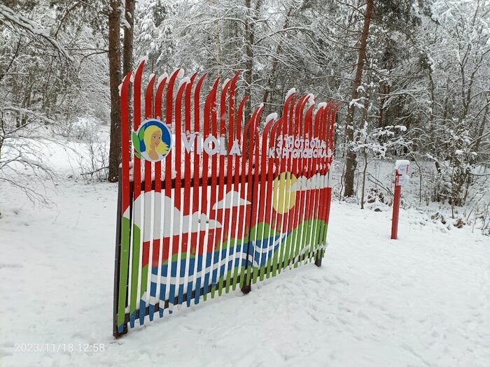 лыжный стенд. или стенд из лыж.