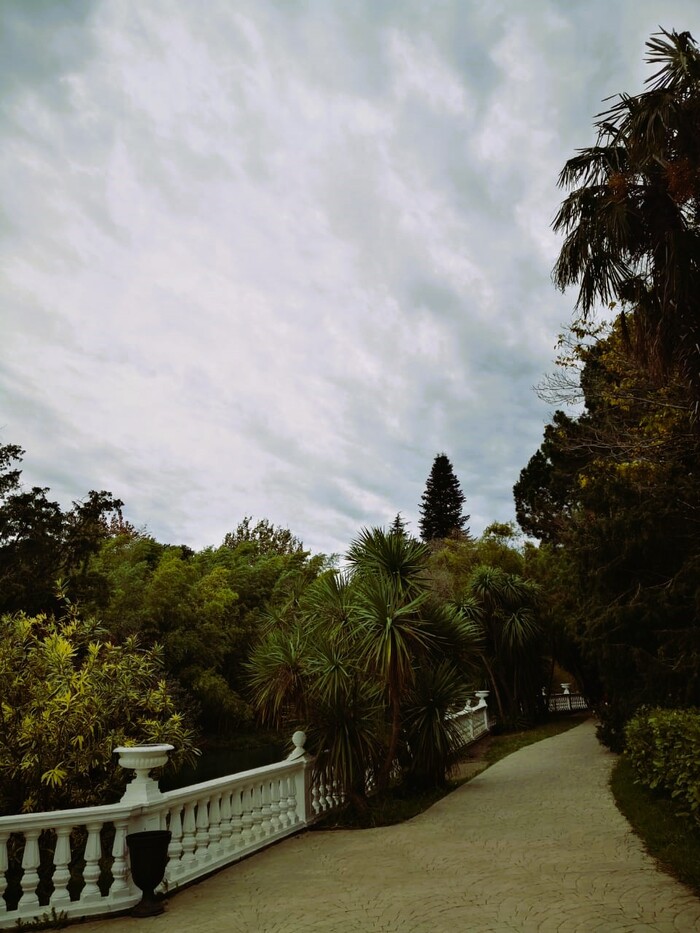 Расстреляли, а затем поставили памятник. История парка "Южные культуры" в Адлере