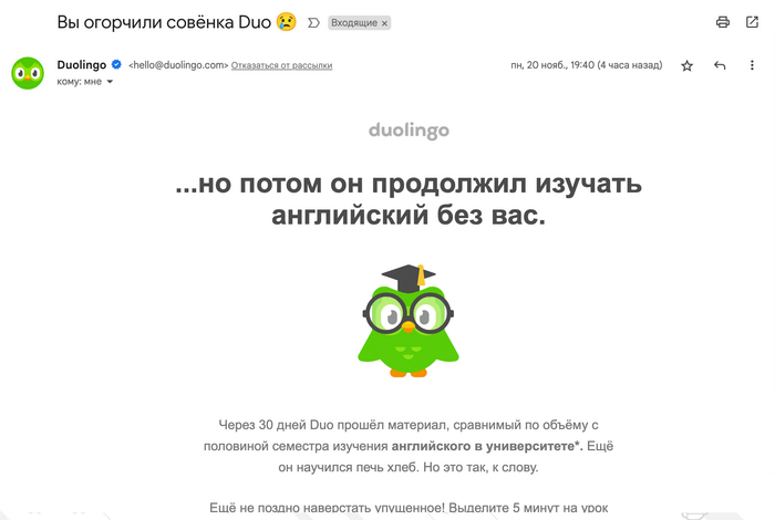     Duolingo.  ?