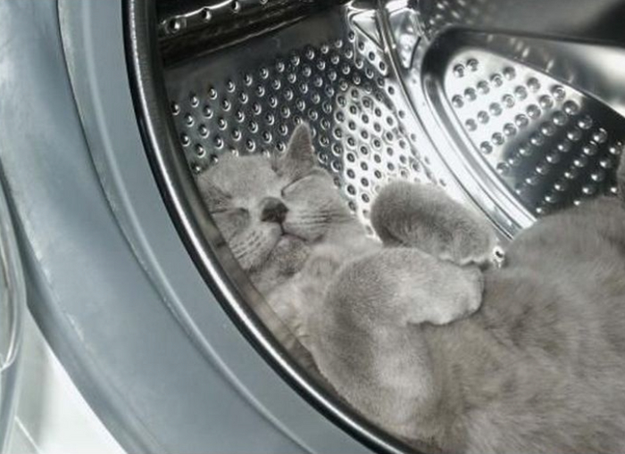 ����� � ���� ����� ��������� ��������