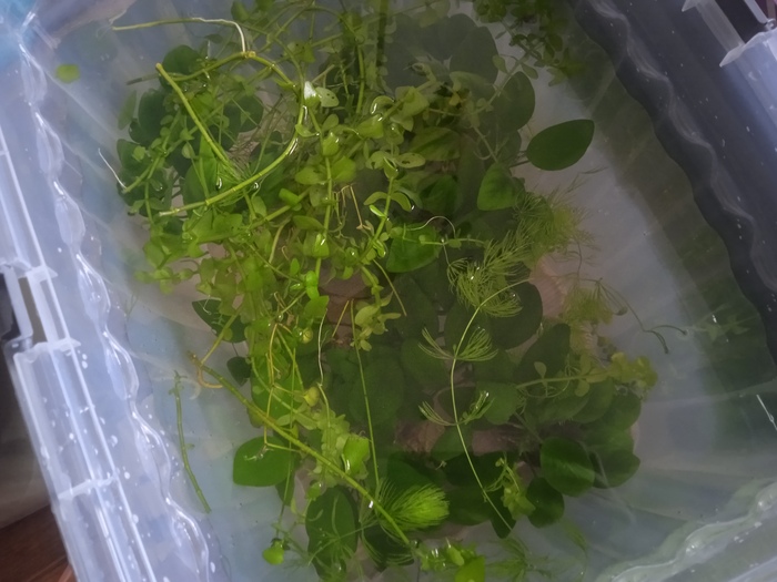 ��������. ��������, ����������� � �.�. ���� � ������ ����. ����� ����� ���� ��� ������.