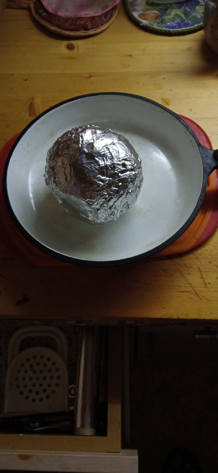 Я Земля, я своих провожаю питомцев, сыновей, дочерей....