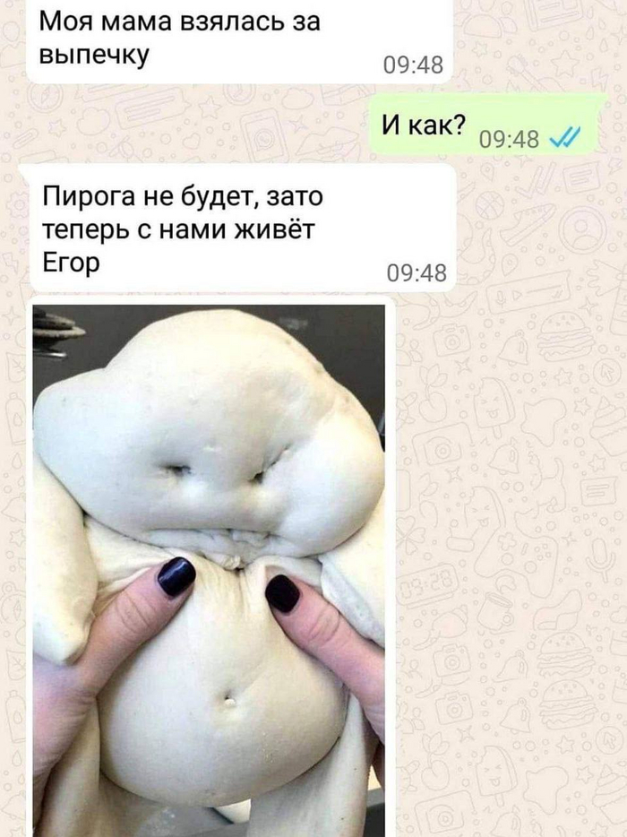   , , , , , , Telegram ()