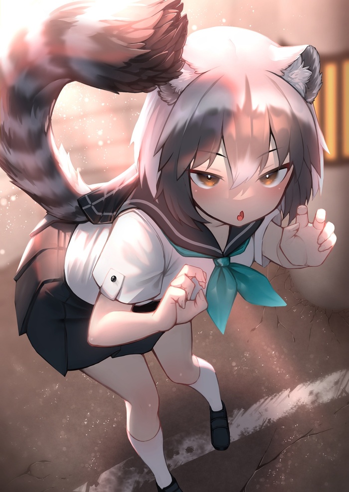   Anime Art, , Kemono Friends, Common Raccoon